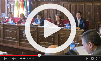 Ver v&iacute;deo del Pleno Ordinario del 27 de diciembre de 2019