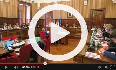 Ver v&iacute;deo del Pleno Ordinario del 2 de marzo de 2020