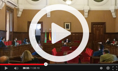 Ver v&iacute;deo del Pleno Extraordinario del 28 de abril de 2020