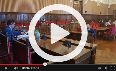 Ver v&iacute;deo del Pleno Extraordinario del 29 de mayo de 2020