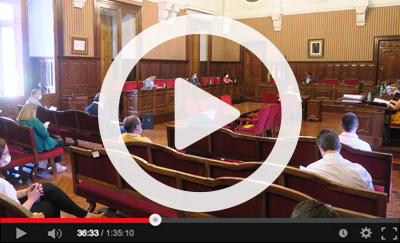 Ver v&iacute;deo del Pleno Ordinario del 30 de junio de 2020