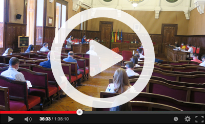 Ver v&iacute;deo del Pleno Ordinario del 31 de julio de 2020