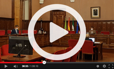 Ver v&iacute;deo del Pleno Ordinario del 26 de noviembre de 2020