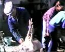 Ir a los detalles de Eventos religiosos, culturales, deportivos, musicales y festivos
. [V&iacute;deo]